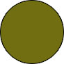 11255-Olive